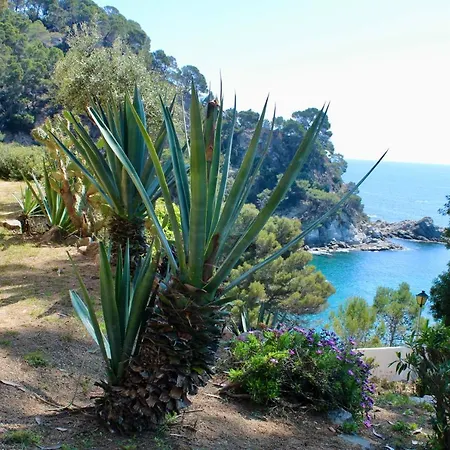 Cala Llevado Тосса-де-Мар