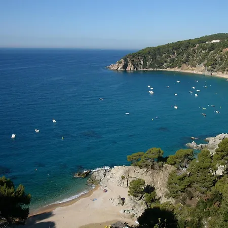 Апартаменты Cala Llevado *