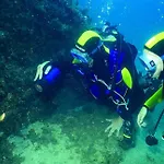 Apartament Cala Llevado Tossa de Mar