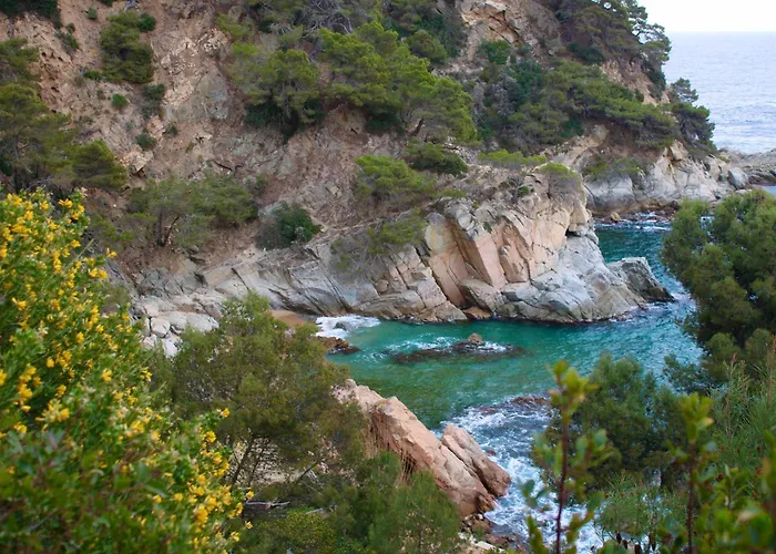 Cala Llevado